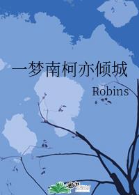 一梦南柯亦倾城