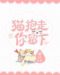 猫抱走，你留下