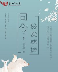 司令，秘爱成婚